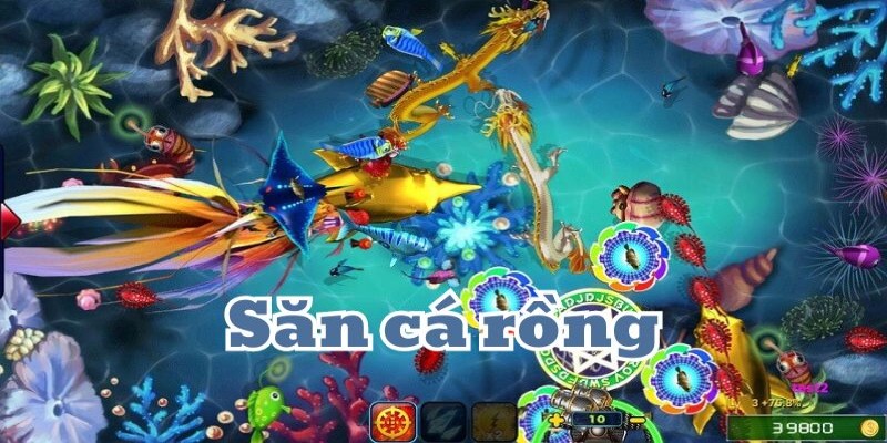 Bắn cá rồng sảnh game mới mẻ được giới trẻ quan tâm nhiều nhất